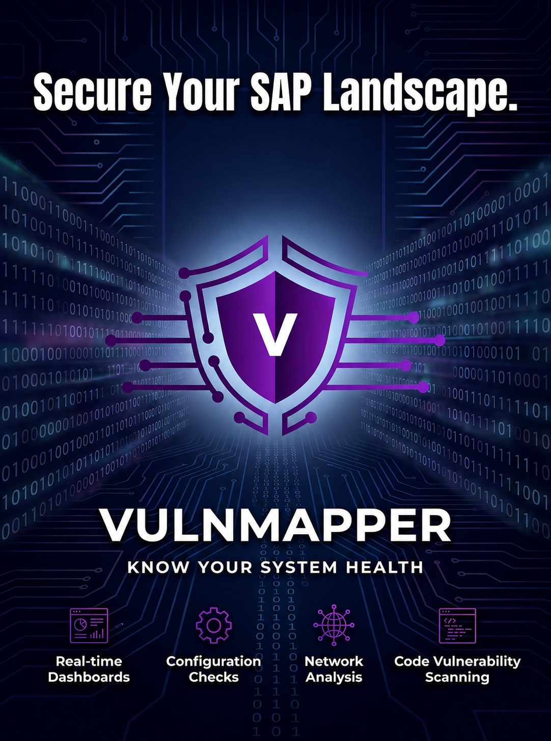 VulnMapper security background